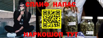сатива Балахна