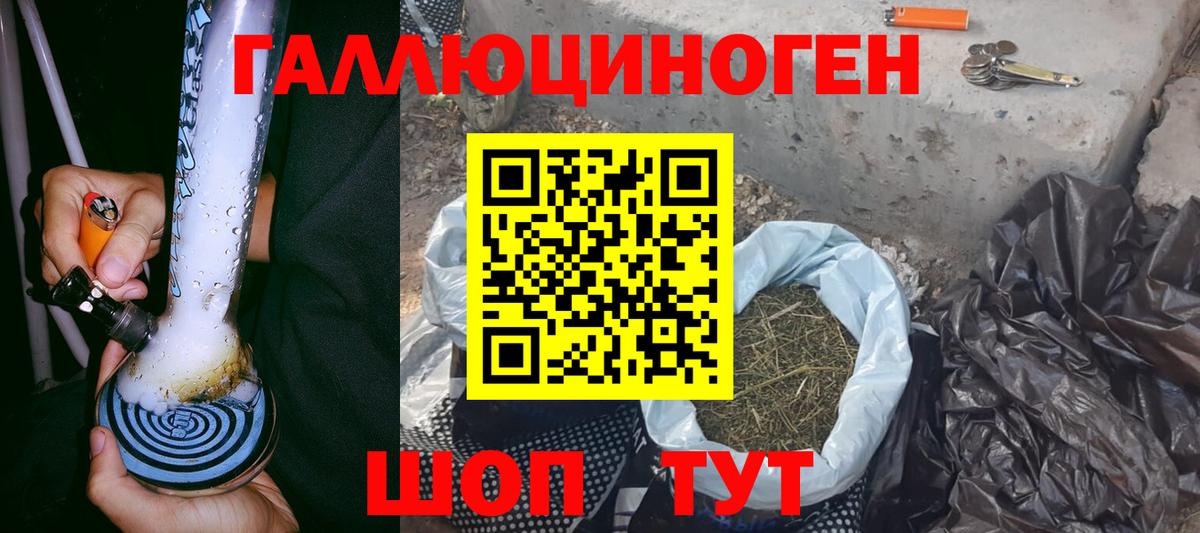 Псилоцибиновые грибы Cubensis  Вход с VPN  Долгопрудный 